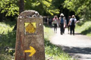 Galicia invertirá 15,6 M € en todos los itinerarios del Camino de Santiago
