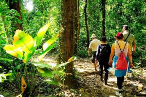 Turismo en Costa Rica: el mejor comienzo de año desde 2013