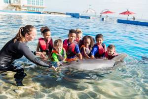 Grupo Dolphin adquiere su tercer parque acuático en EEUU