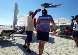 El Estado de Quintana Roo asume la promoción del Caribe mexicano en España