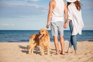 El auge del turismo dog-friendly en la Comunidad Valenciana