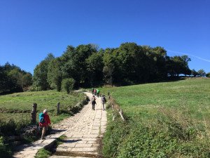 El Camino de Santiago cerrará 2019 con un nuevo récord de peregrinos