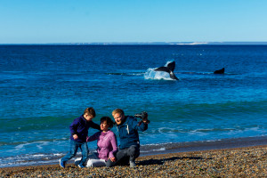 Las ballenas, las vacunas y Aerolíneas Argentinas llegan a Puerto Madryn