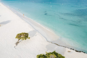 Aruba recibirá a turistas latinoamericanos desde el 1° de diciembre