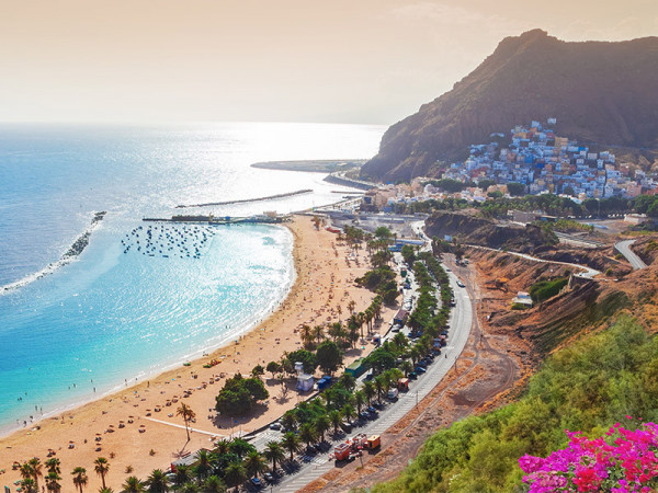 Los turistas y extranjeros pueden y salir de Tenerife | Economía