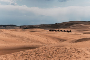 El turismo se prepara para la travesía del desierto, ¿cómo resistir?