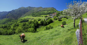 Asturias, escenario de dos nuevos Planes de Sostenibilidad Turística
