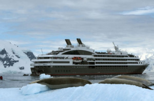 Anuncian el primer crucero LGBT desde Argentina a la Antártida