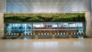 Un aeropuerto español se llena de verde con jardines verticales
