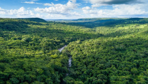 Brasil prepara una campaña nacional de turismo de naturaleza