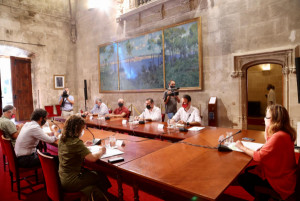 Baleares: 12.000 solicitudes para acogerse a las ayudas directas de 855,7M€