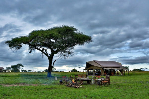 Ratpanat, de agencia de safaris de lujo a cadena hotelera en África