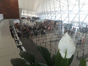 Anuncio de Uruguay permite a las aerolíneas planificar con tiempo