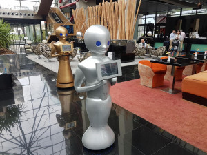 Robots: en qué áreas del hotel los empezaremos a ver