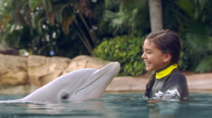 Expedia dejará de vender SeaWorld y toda la oferta de nado con delfines