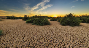 España en riesgo de sequía: ¿cuál es el impacto en el sector?