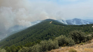 Incendios en Extremadura: ¿cómo están afectando al turismo rural?