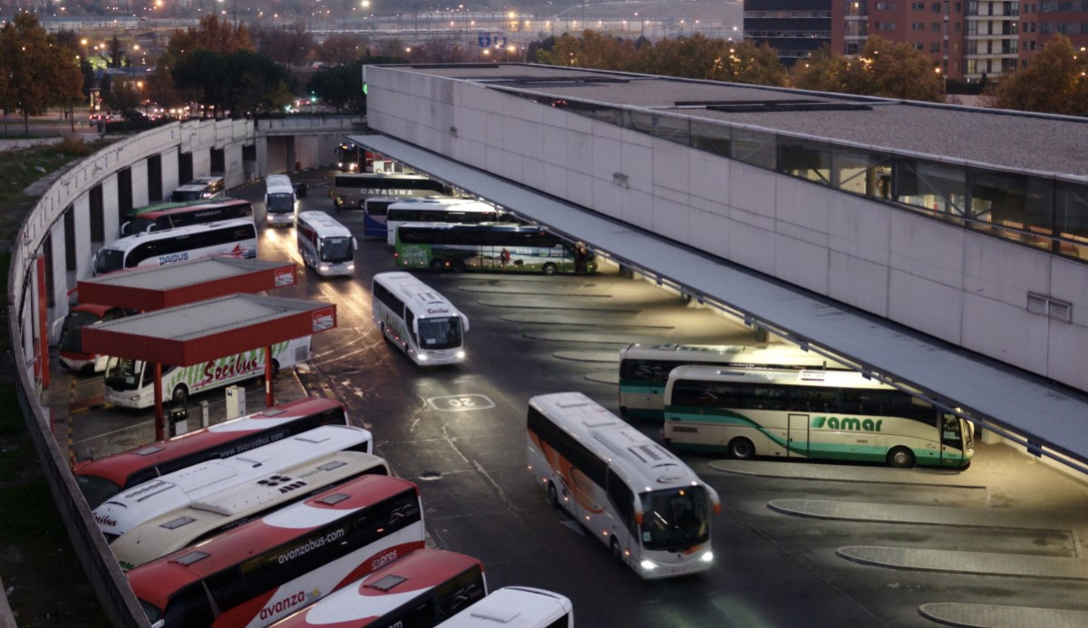 Estas son las 42 líneas de autobuses con descuentos del 50% | Transportes