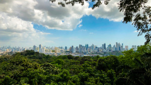 Webinar: Panamá, una tierra más allá de las expectativas  