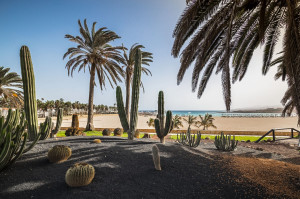 El resort más grande de Fuerteventura abre tras una inversión de 38 M € 