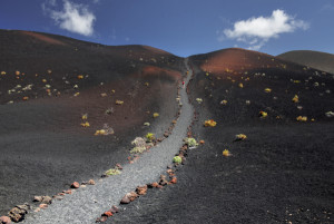 La Palma: naturaleza y autenticidad en una reserva Starlight
