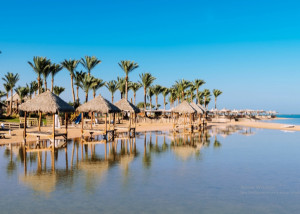 Vueling ofrecerá nueva ruta desde España a un popular destino en Egipto 