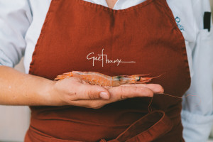 Guethary, nueva apuesta gastronómica en Iberostar Selection Playa de Palma