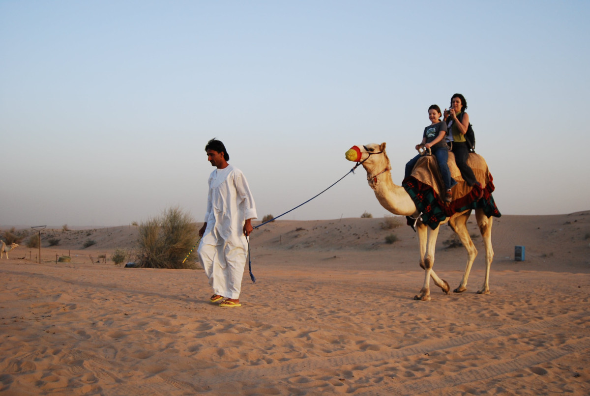 El país al que tienes que viajar para celebrar el Año del Camello
