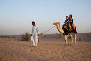 El país al que hay que viajar para celebrar el Año del Camello