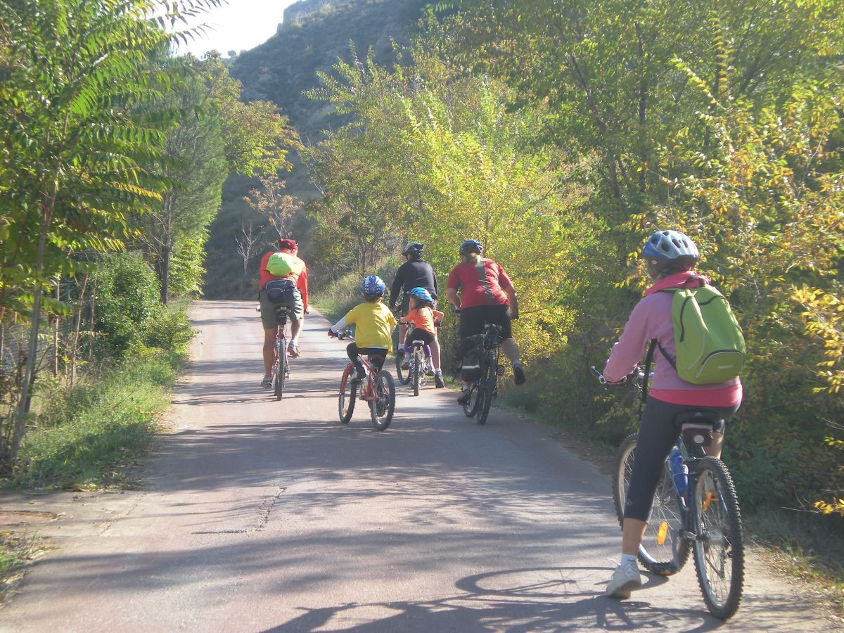 CiclaMadrid: enjoy slow tourism in Madrid... whilst pedalling!