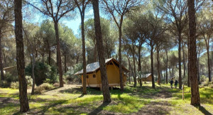Huttopia, dirigida por Michel Durrieu, trae su modelo de campings a España
