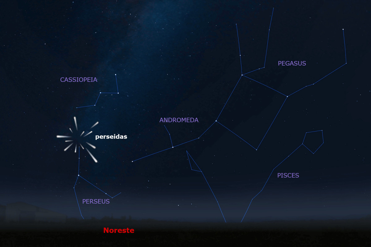 Perseidas 2024: cuándo es la lluvia de estrellas y dónde verlas mejor