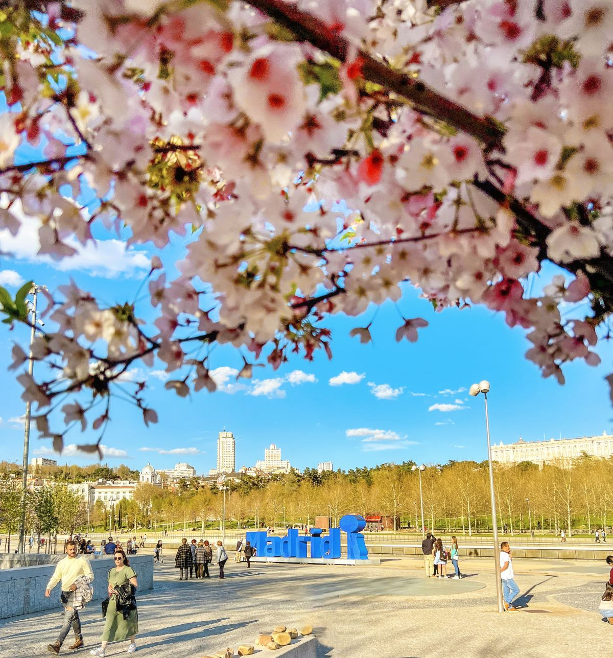 Madrid, a city committed to the environment