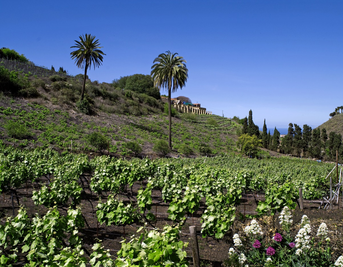 Programa de otoño en Gran Canaria