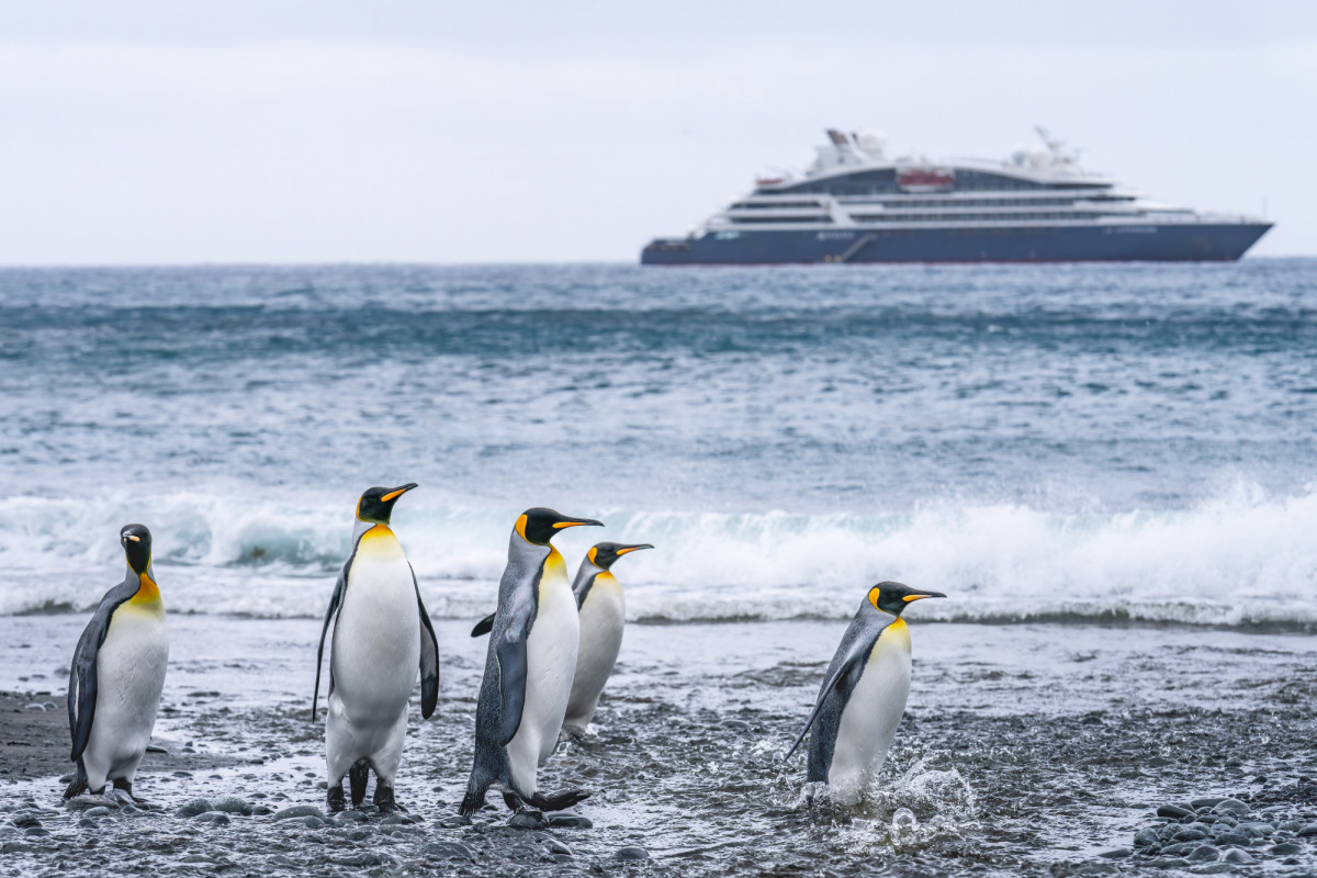 ¿Por qué están de moda los cruceros de expedición?