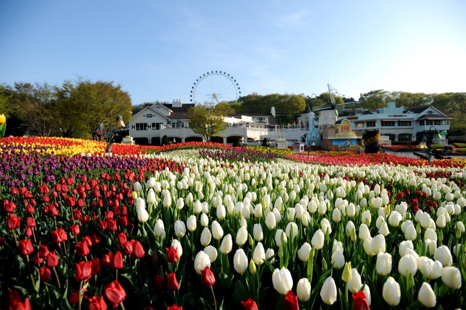 12 parques temáticos para visitar en Asia (que seguramente no conocías)