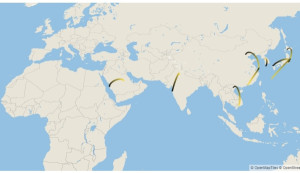 Tres rutas aéreas con España entre las más transitadas de Europa 