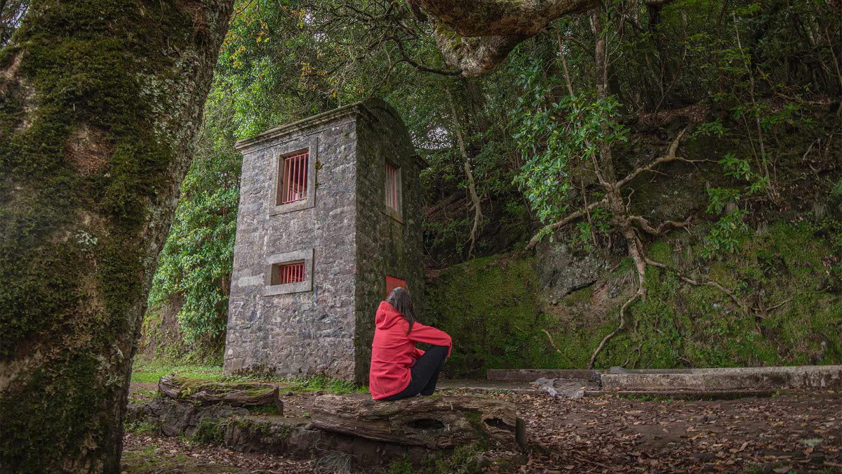 Grandes rutas en Portugal: de norte a sur e islas de Azores y Madeira