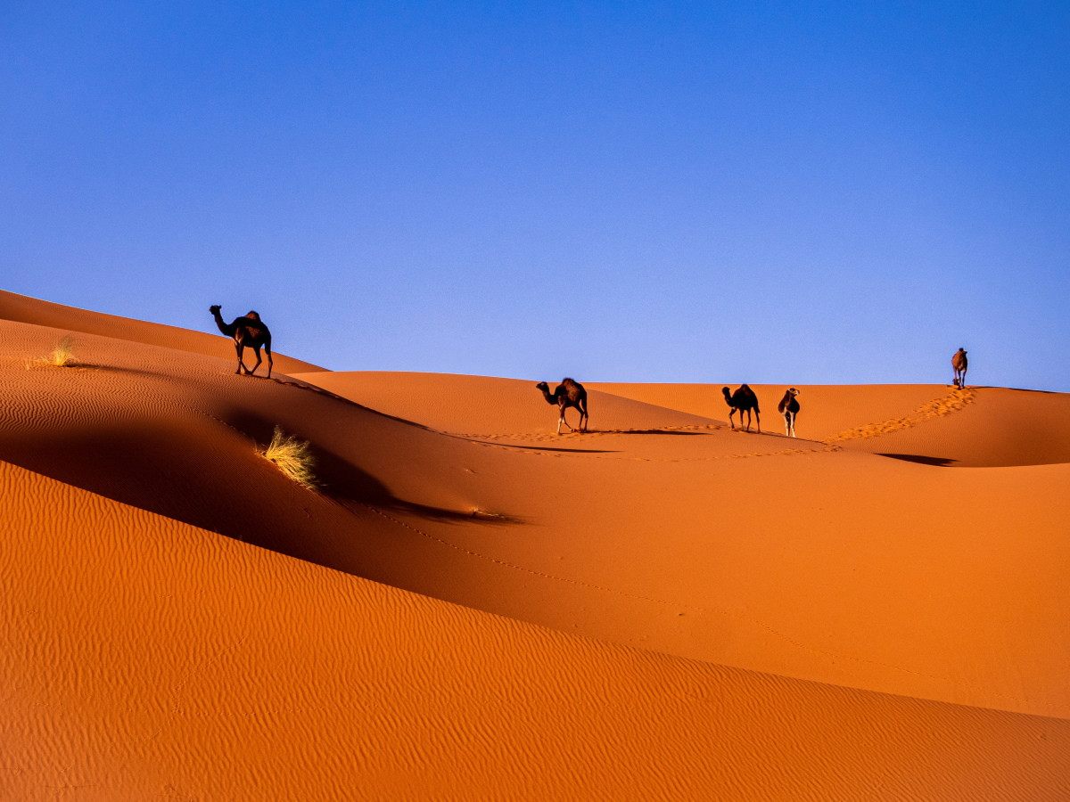 Marruecos, desde cada rincón de España con Soltour