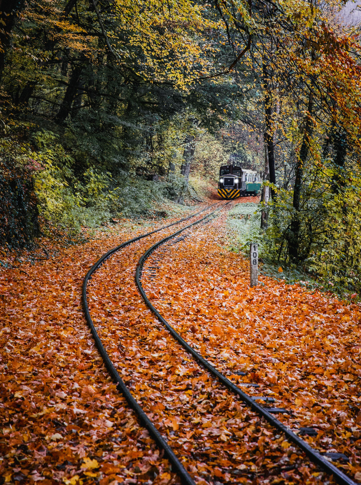 Dónde empieza y dónde acaba el recorrido del tren más largo del mundo