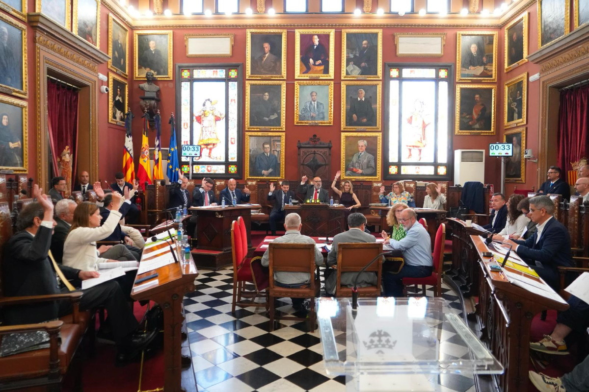 Aprobada la ordenanza de convivencia cívica de Palma: cómo afecta al turism