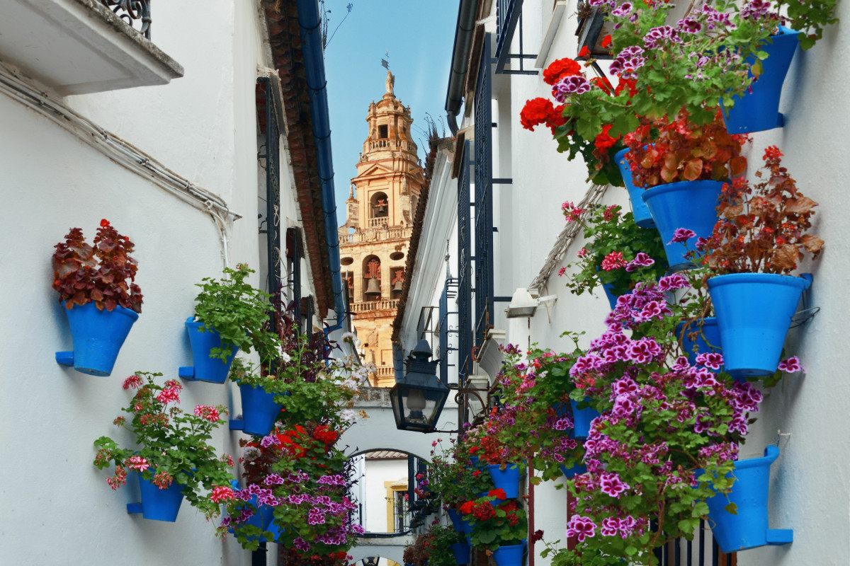 Patios de Córdoba Fuente: Adobe Stock Patios de Córdoba