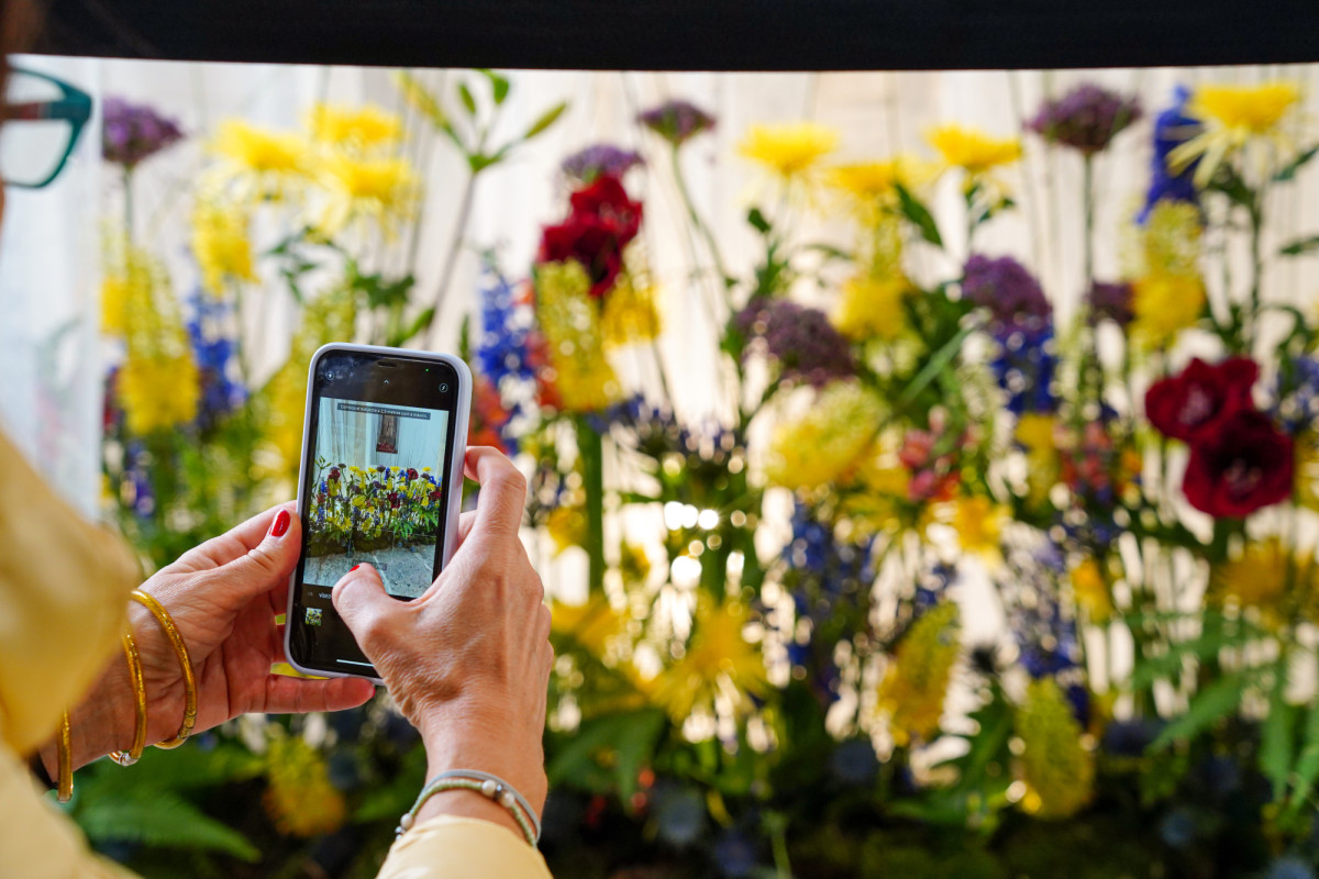 Temps de Flors en Girona 2023 Fuente: Adobe Stock Temps de Flors en Girona 2023