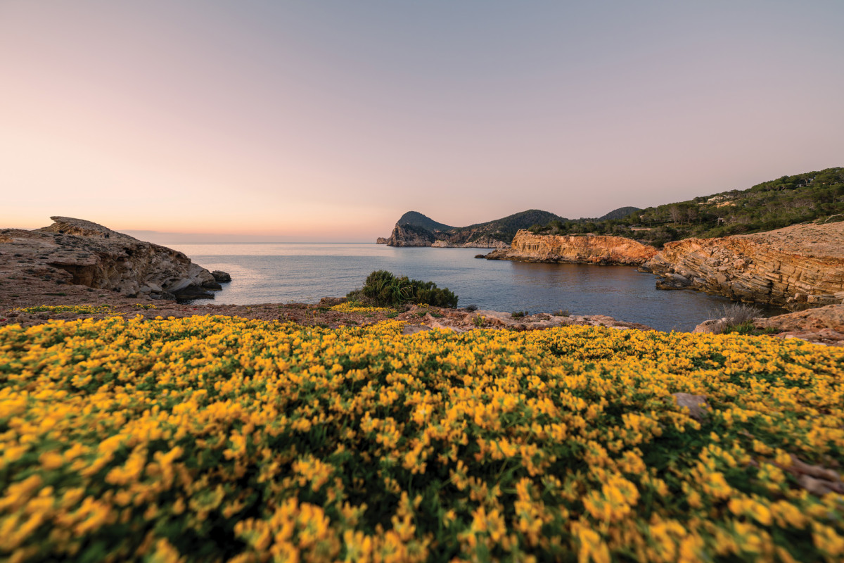 Ibiza: forjando el futuro a través de una movilidad consciente y sostenible