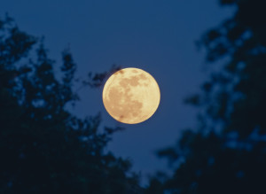 Luna llena de julio: ¿cómo ver la 'Luna de Ciervo'?
