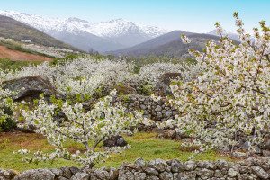 Extremadura salva su imagen turística con cultura, naturaleza y gastronomía