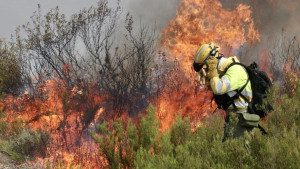 Un incendio en Ourense obliga a cortar la línea de alta velocidad a Galicia