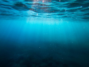 Fitur 2026: el observatorio FiturNext premiará la mejor gestión del agua