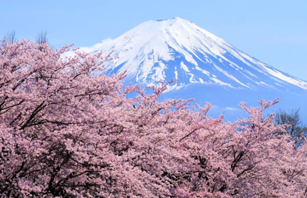 Japón en 7 días: un itinerario de experiencias únicas con Civitatis