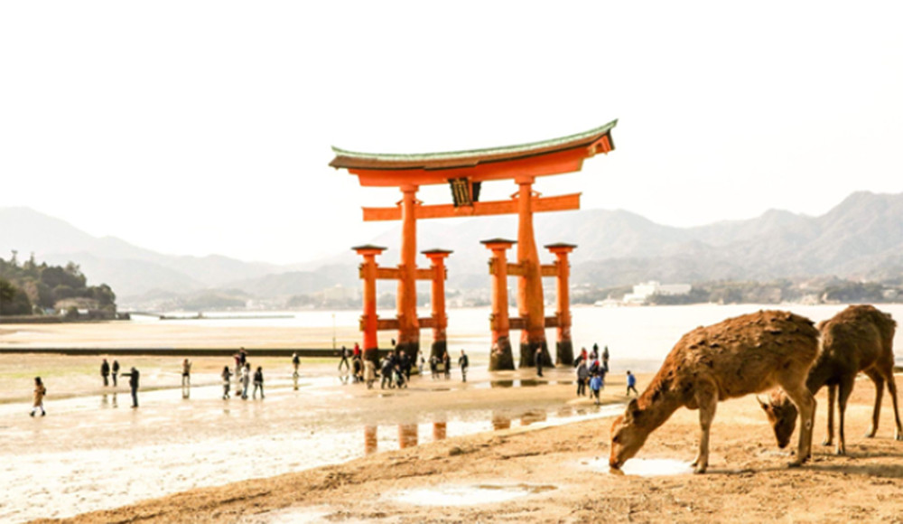 Japón en 7 días: un itinerario de experiencias únicas con Civitatis